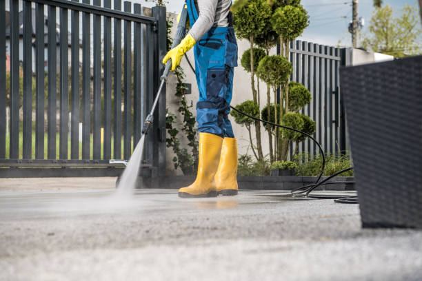 Best Exterior Home Cleaning  in Sigourney, IA