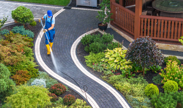 Best Power Washing Near Me  in Sigourney, IA